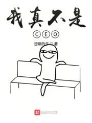 治CEO